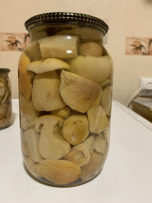 Білі гриби мариновані гриби