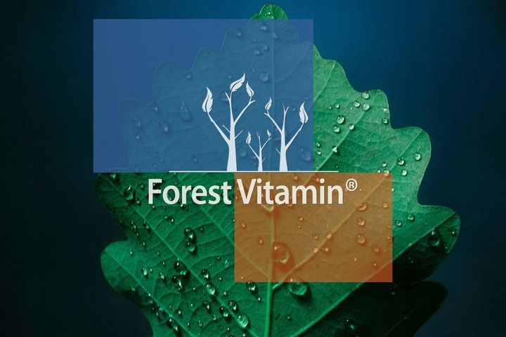 forest tudca kwas tauroursodeoksycholowy 60 kaps detox oczyszczenie