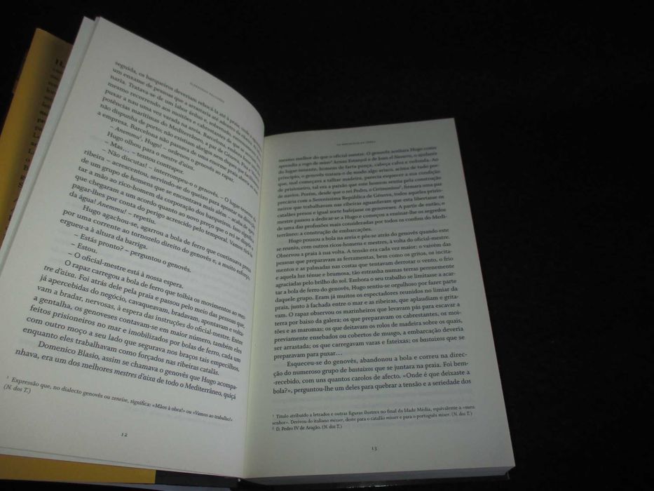 Livro Os Herdeiros da Terra Ildefonso Falcones Edição Limitada