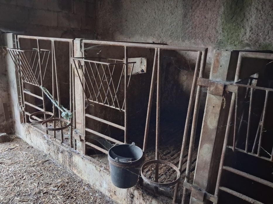 4 Estruturas metálicas para vitelários