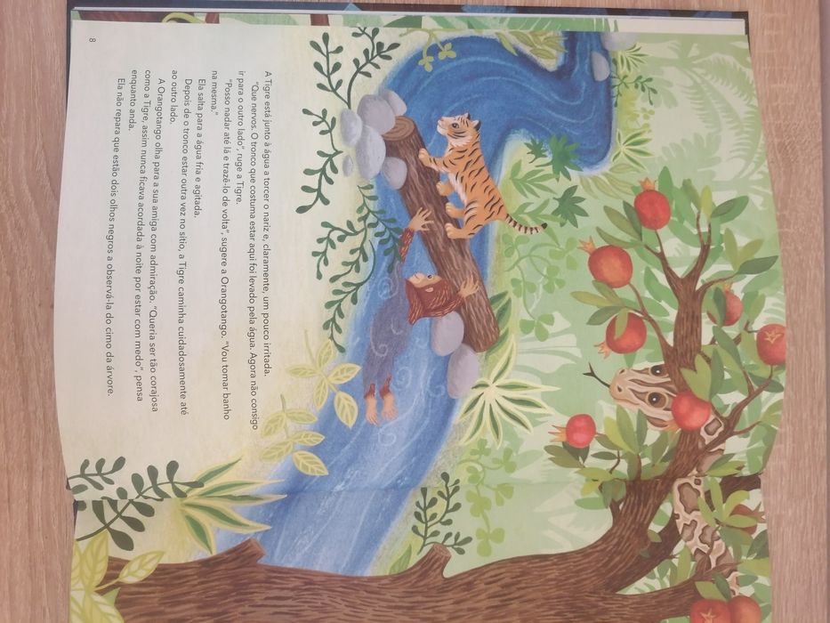 Livro A Orangotango tem medo NOVO