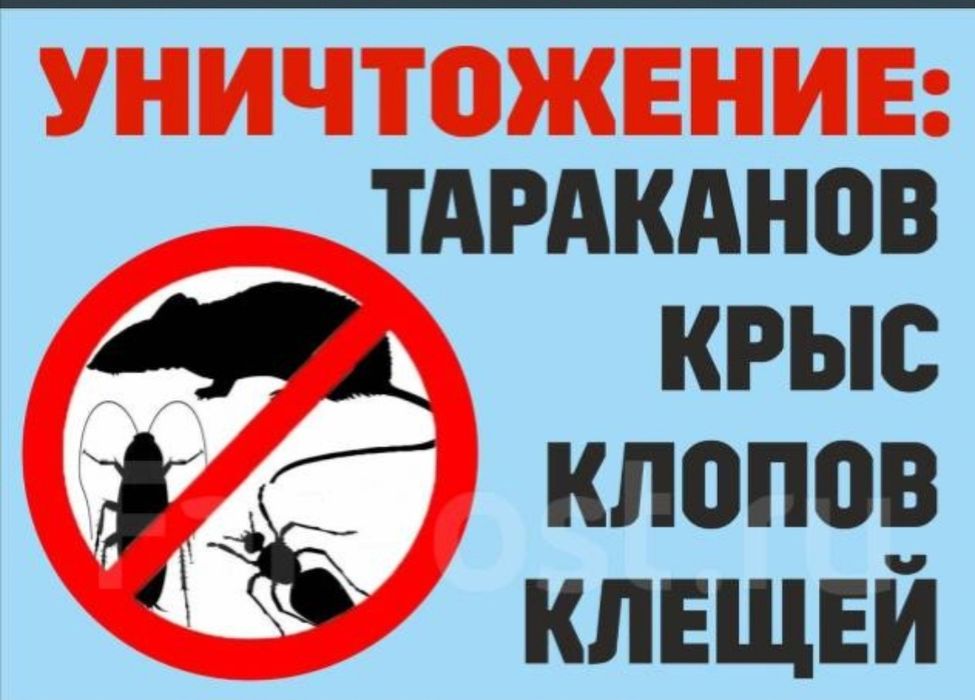 Уничтожение тараканов, клопов, крыс