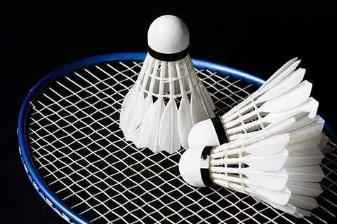 Treinador de Badminton/Private Badminton Coach