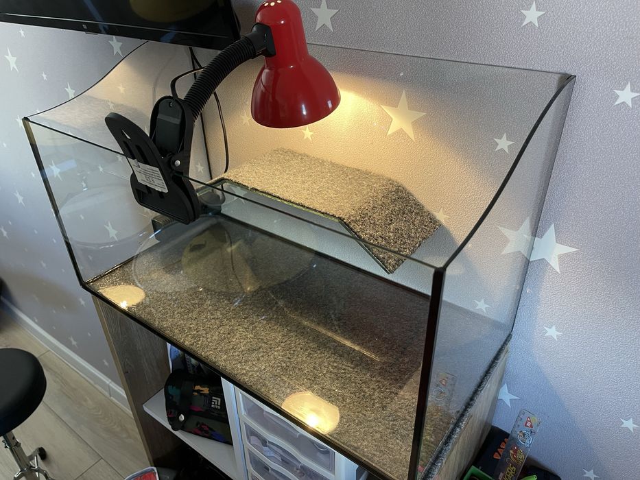 Червонувуха черепаха+акваріум(терраріум)