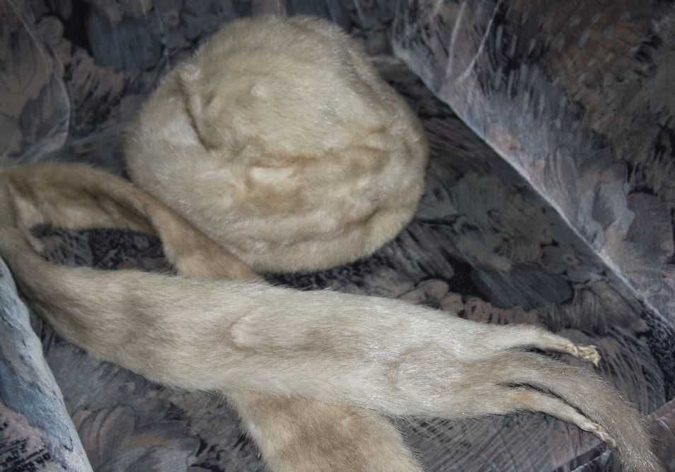 Czapka z kołnierzem norki