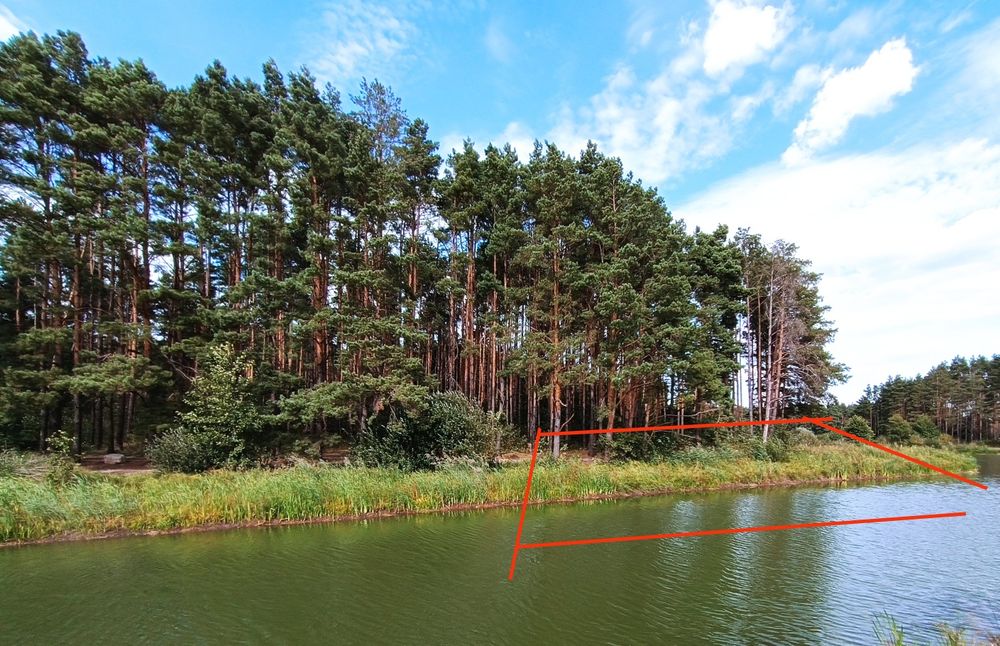 16,5 сот біля соснового лісу та водойми