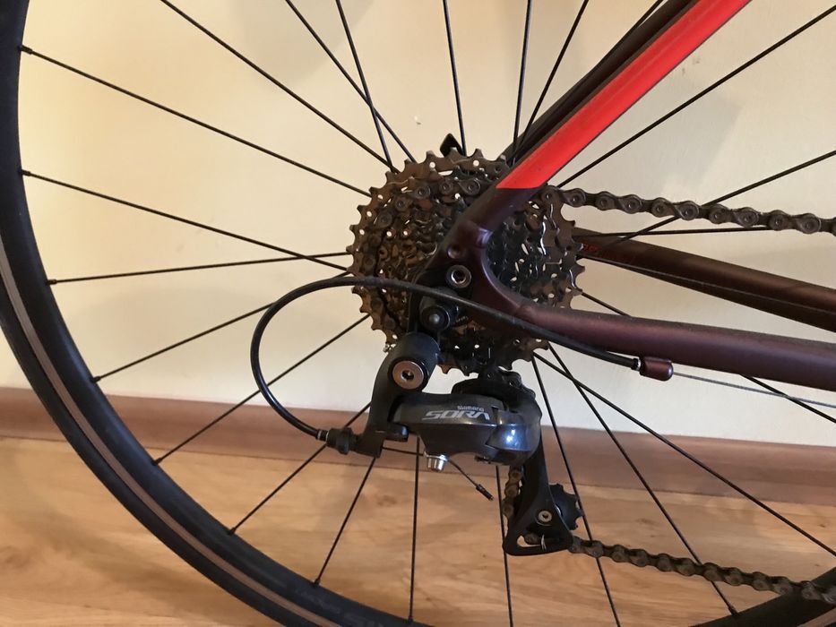 Rower szosowy Specialized Allez Sport