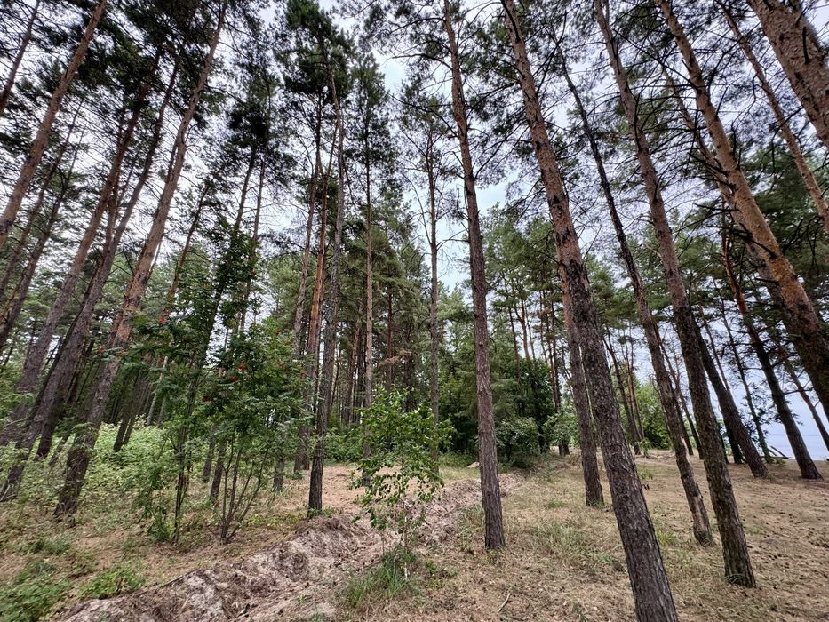 Продаж ділянки від 40 соток до 10Га. с. Ясногородка Киівська область