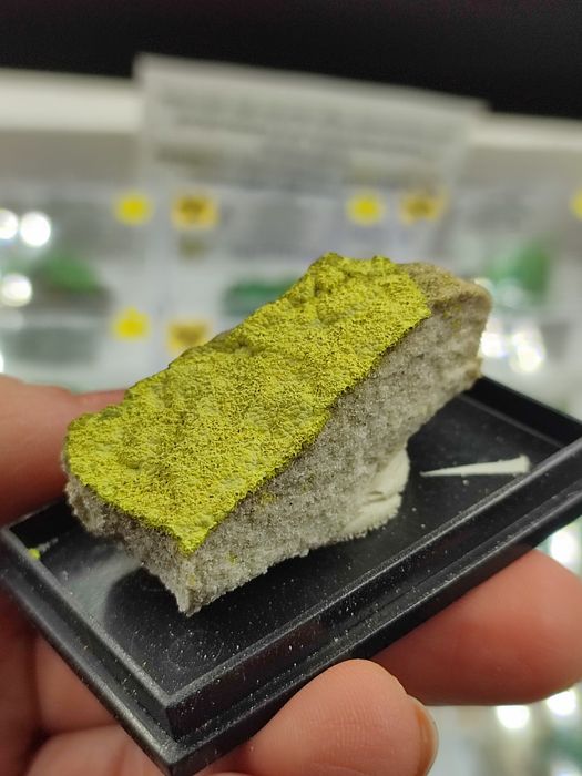 Minerał uranowy do kolekcji tyujamunit