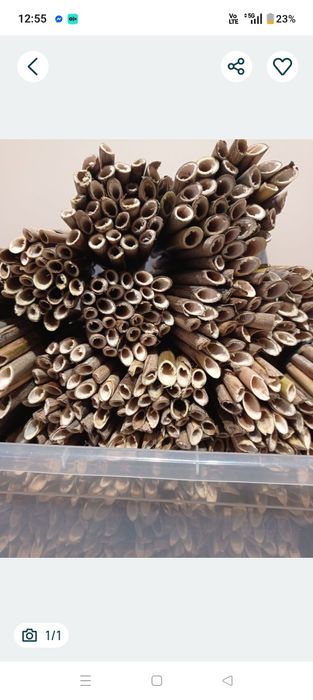 Rurki trzcinowe murarka