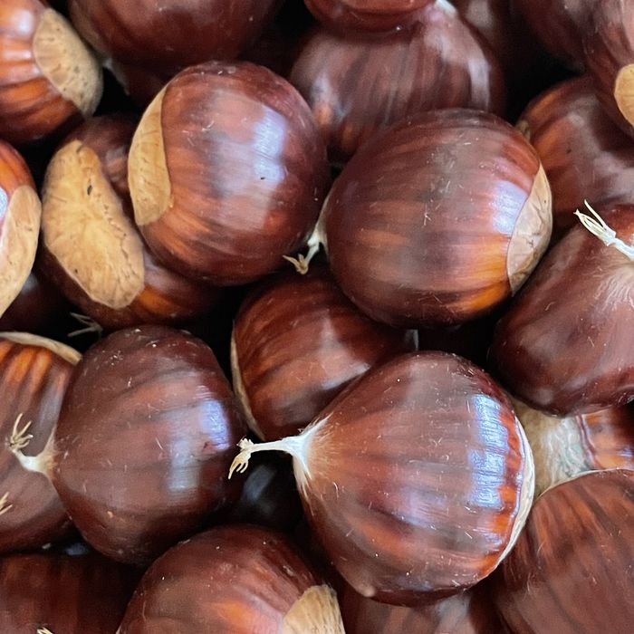 Castanhas Região da Guarda