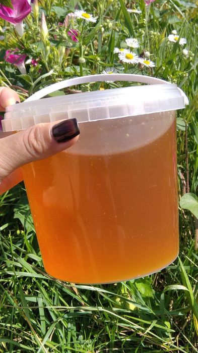 Мед різнотрав'я забрус медовий прополіс віск