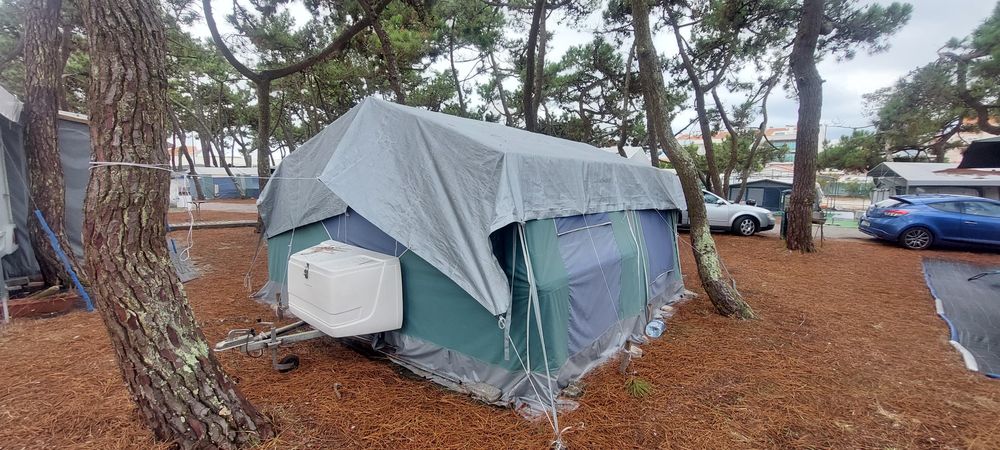 Autotenda saurium