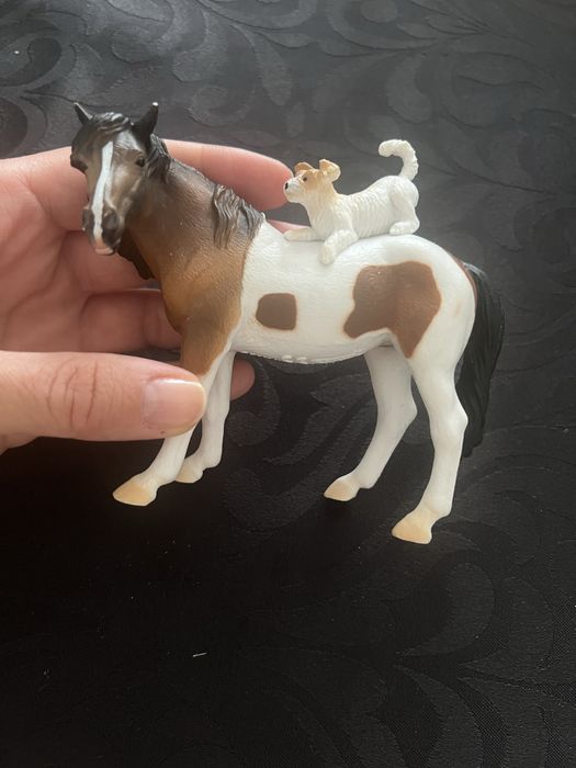 Collecta klacz i piesek