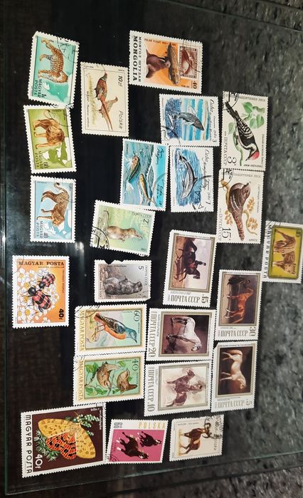 Марки фауна животные. СССР, Венгрия, Монголия, Польша.