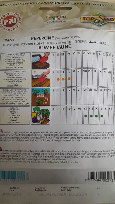 Семена перца Peperone Bombe Jaune («Желтый перец-бомба»)