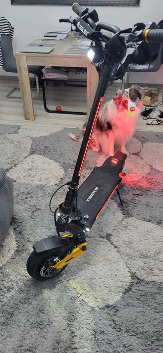 Hulajnoga elektryczna Hiley Tiger 10 V4 VLR Sunlight