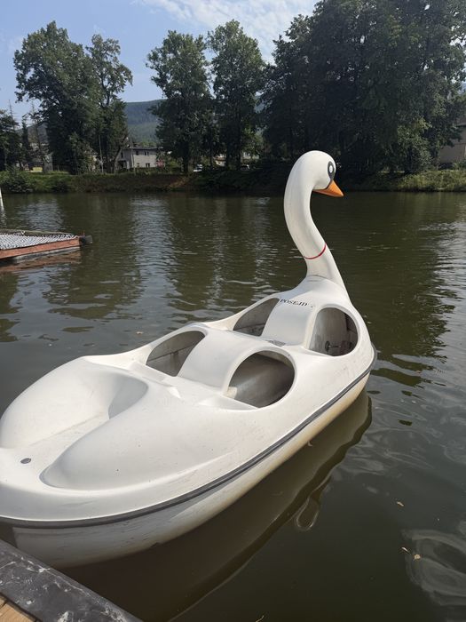 Rower wodny łabędź