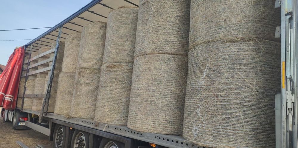 Słoma w belach 130x120 sucha, z transportem
