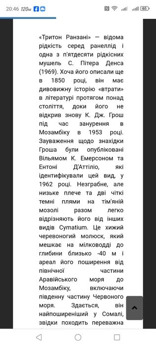 Мушля, ракушка, ранзалія і кассіс