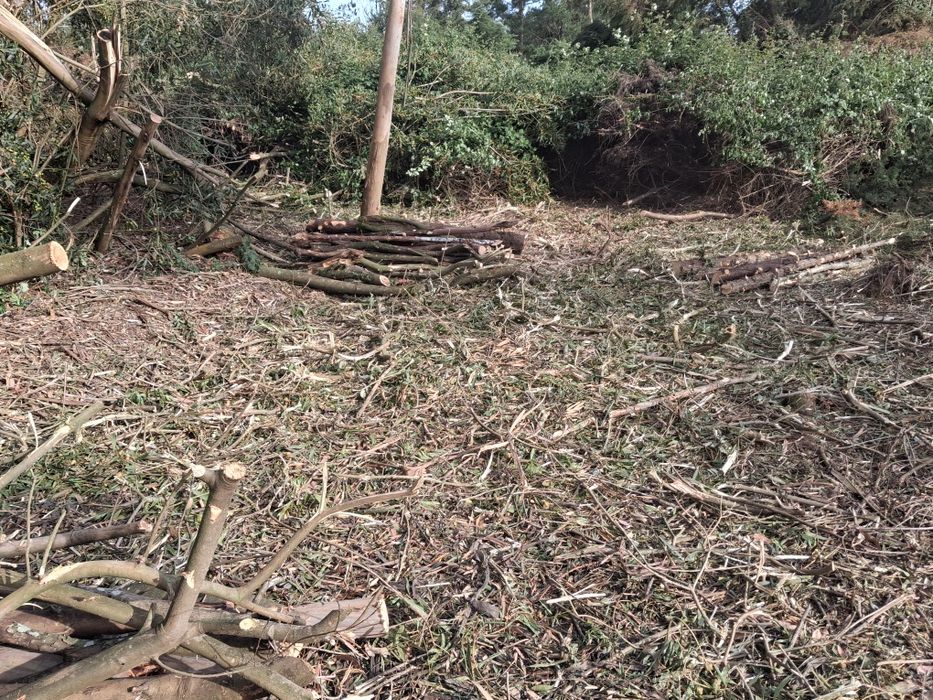 Limpeza de terrenos