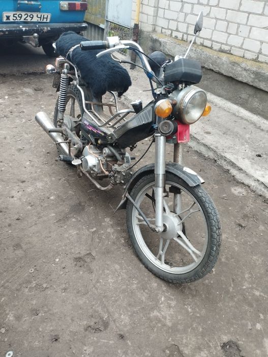 Розбврка альфа/дельта