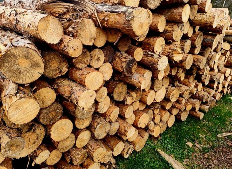 Drewno opałowe SOSNA – | pocięte / łupane | transport GRATIS