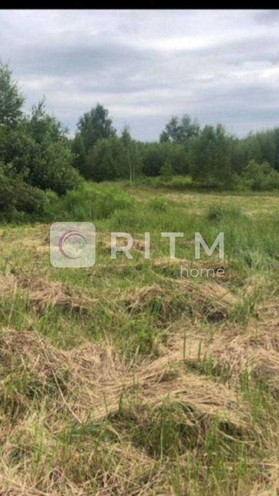 Продаж земельної ділянки в с. Озерце — 12 соток