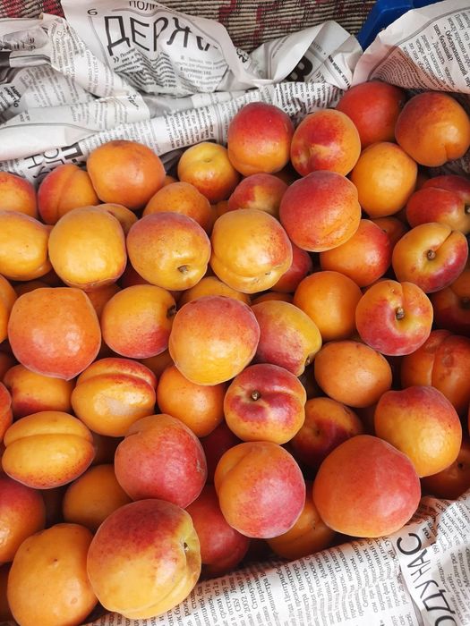 Продам сад с. Троицкое Беляевского р-на,Одесской обл.