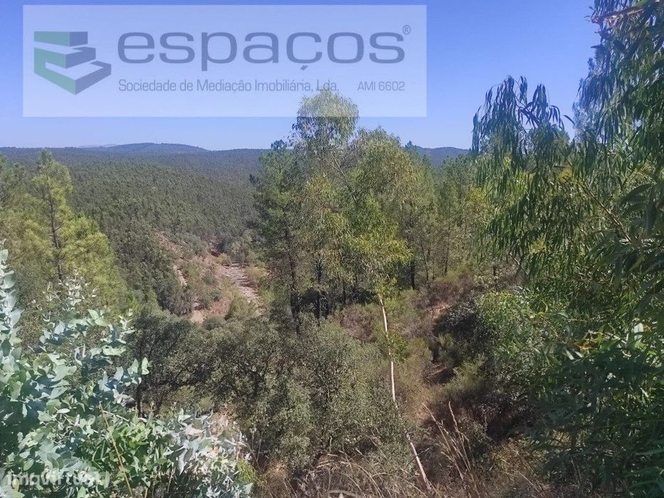 Terreno Florestal