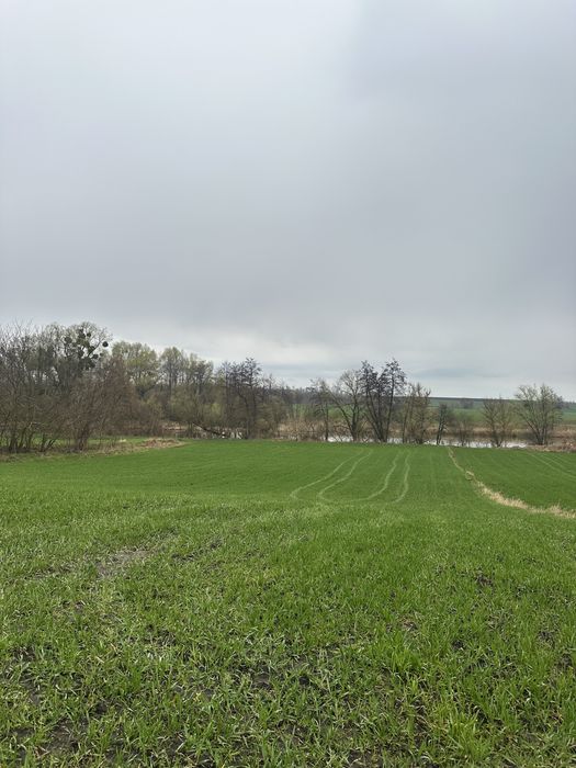 Продаж земельної ділянки з виходом до річки Рось