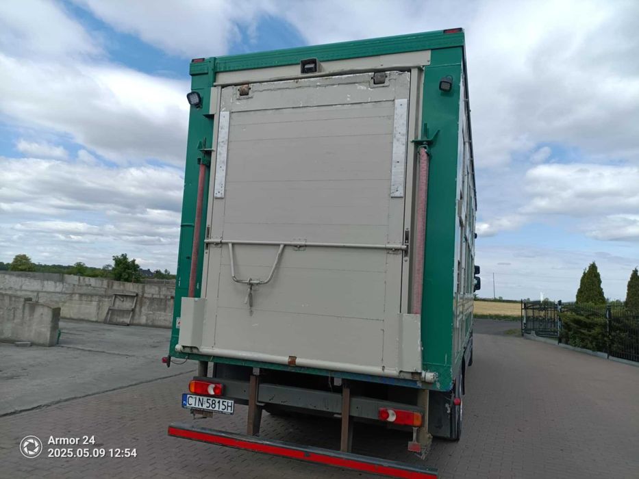 Daf do przewozu zwierząt