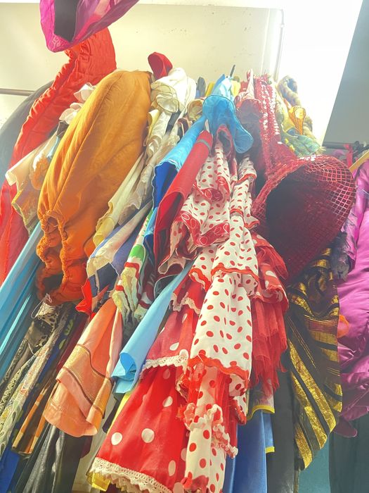 Fatos de carnaval  usados