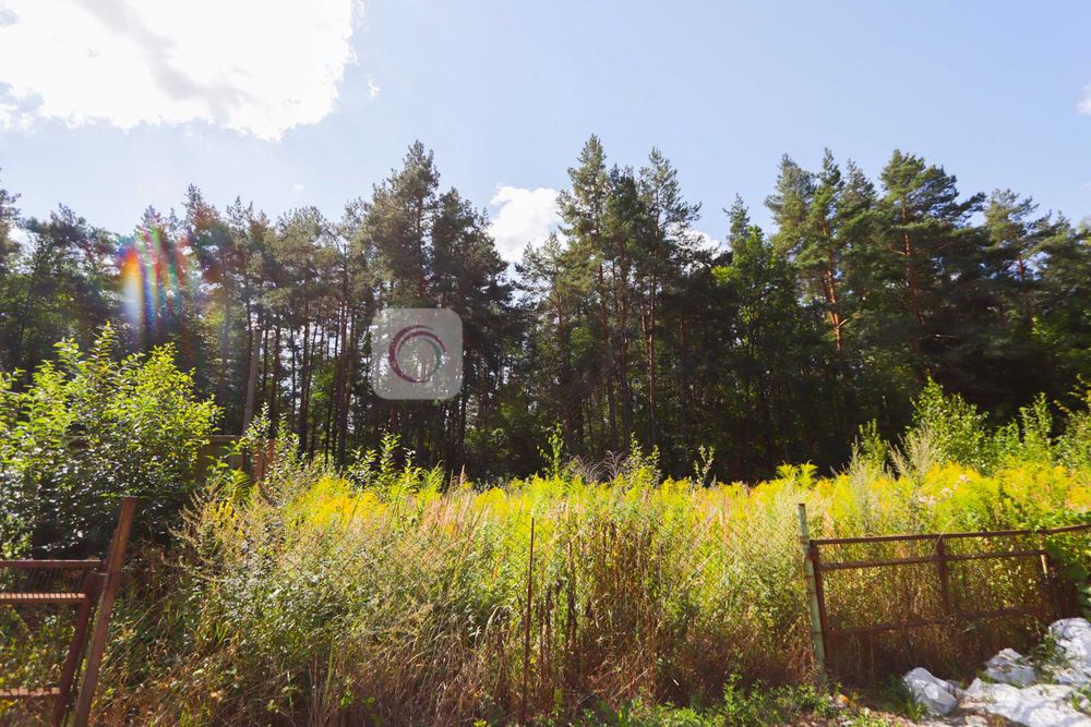 Продаж земельної ділянки 5 соток біля лісу в с. Збиранка