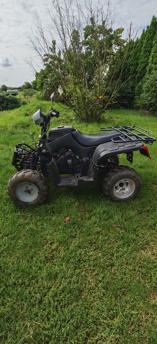 Quad 250 Shenke 2010