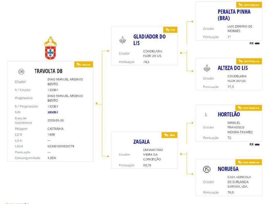 Poldro PSL , filho do Gladiador do lis