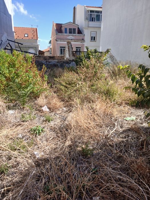 Recolha Entulhos Limpeza terrenos. Lisboa Almada Seixal Setúbal