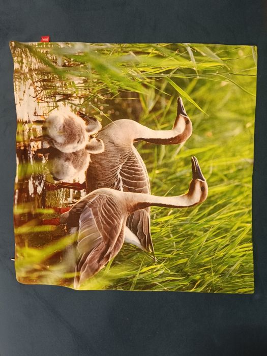 Poszewka na poduszkę kaczka