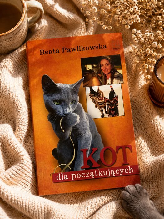 KOT dla początkujących - Beata Pawlikowska, idealna książka na prezent