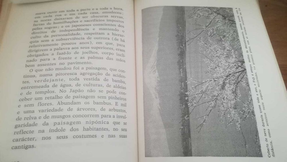 Japão de hoje - Jaime Ferreira