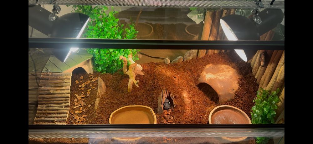 terrarium 80x40x40