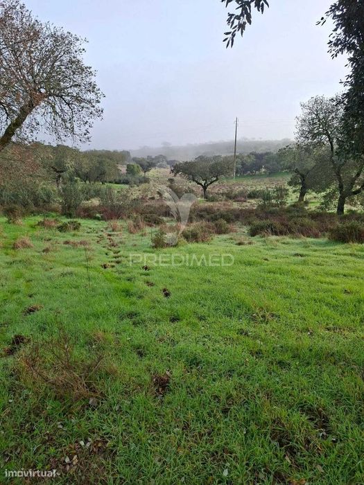 Terreno Rústico com 4,1 Hectares no Rosário - Alandroal