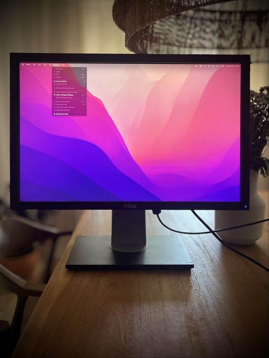 Mitico Monitor Dell U2410 HDMI/Composito/DisplayPort/DVI