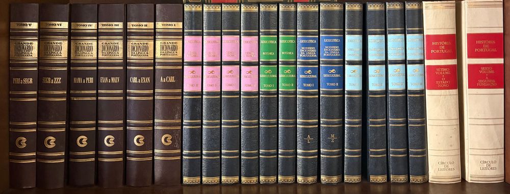 Lexicoteca, Grande dicionário da língua portuguesa e História
