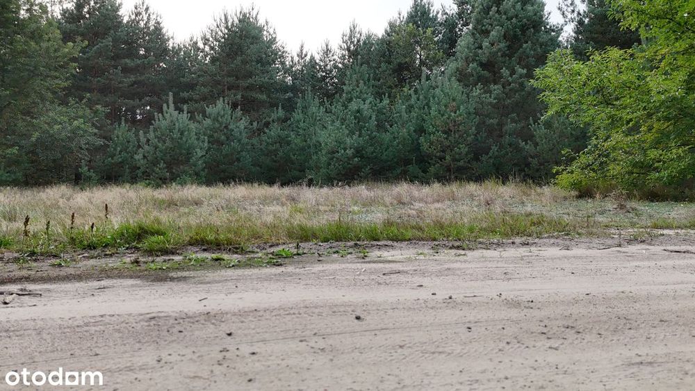 Działka budowlana w otulinie lasu, blisko zalewu, bezterminowe WZ. - Widok 2
