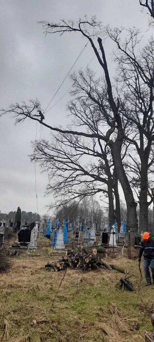 Зрізання дерев на кладовищі з гарантією збереження майна