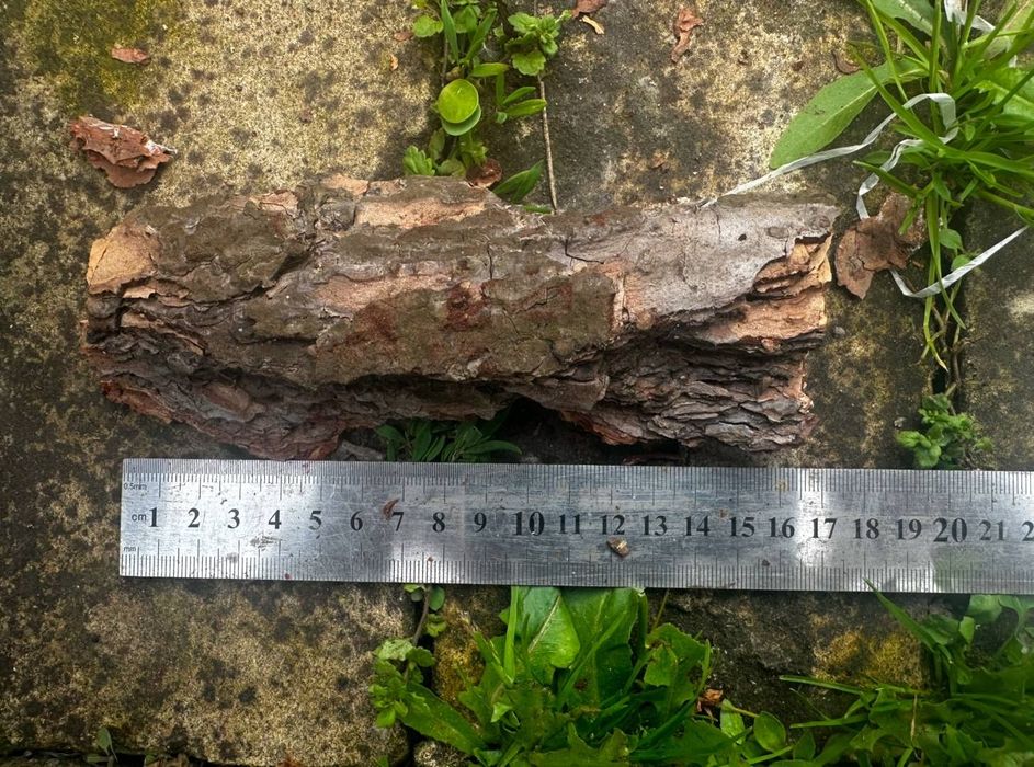 Кора фракція1 фракція2