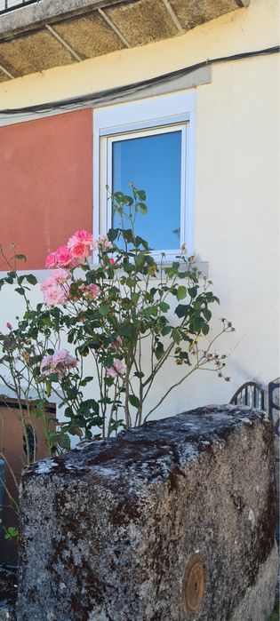 Moradia T4 Mobiliado e Remodelado em São Paio (Gouveia)