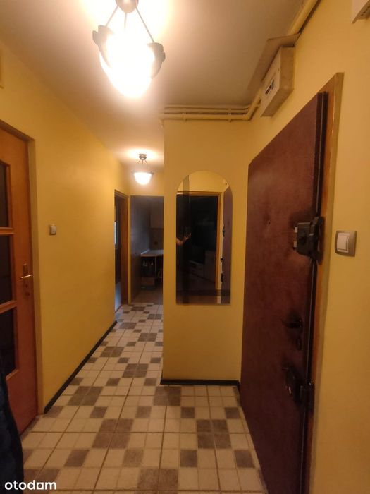 2 -3 pokoje, 62 m² z garderobą i werandą, 7 min do metra, bezpośrednio - Widok 4
