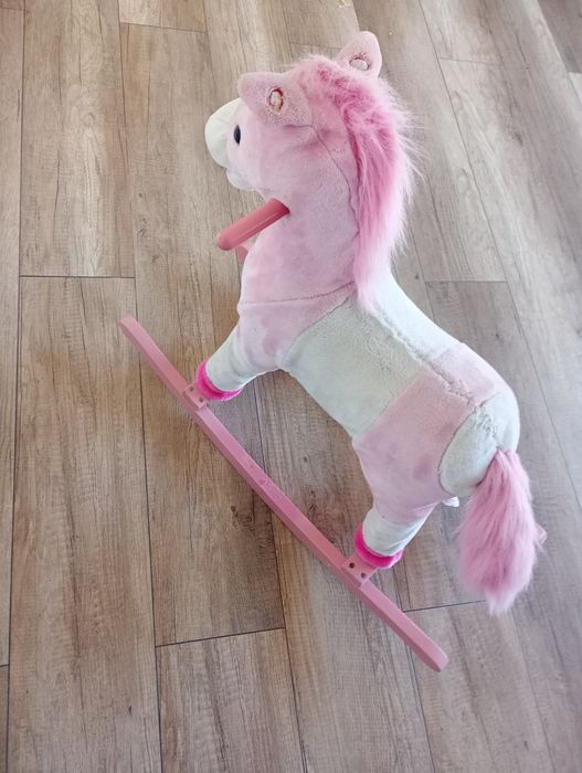 Konik bujany śpiewający